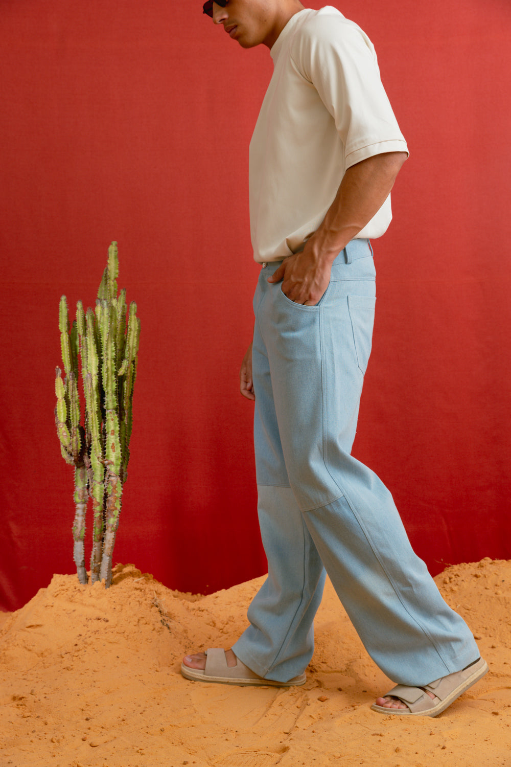 PHOENIX PANTS